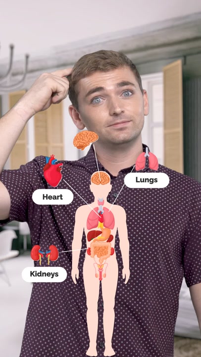 Human Body Vocabulary Word List | Parts of the Body in English