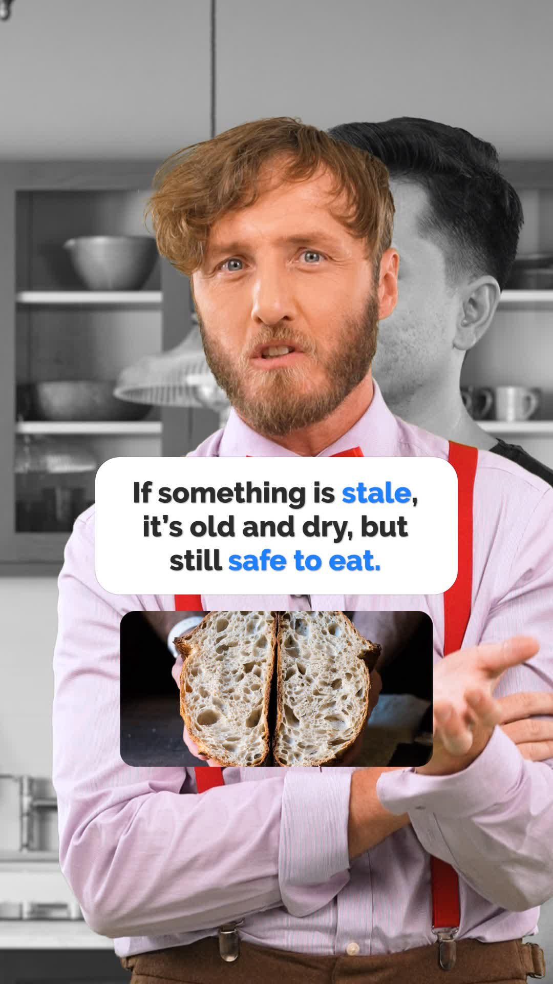 Stale vs Mouldy: Know the Difference