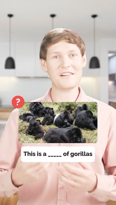 Learn 4 Animal Group Names in English